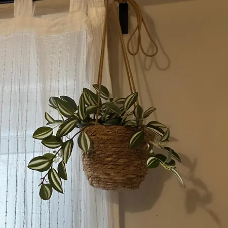 Cherry - Happyhostgr - Downtown Apartment *
