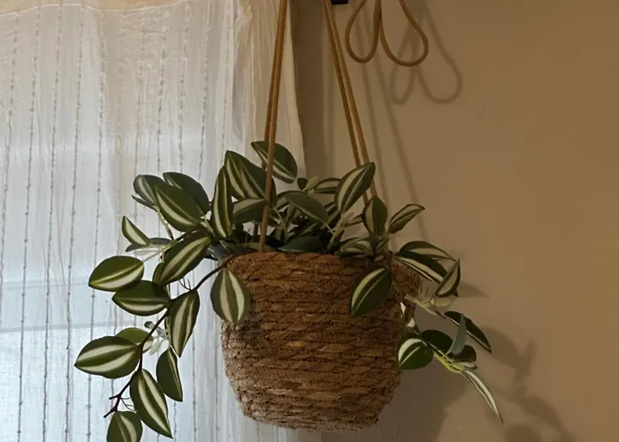 Cherry - Happyhostgr - Downtown アパート *